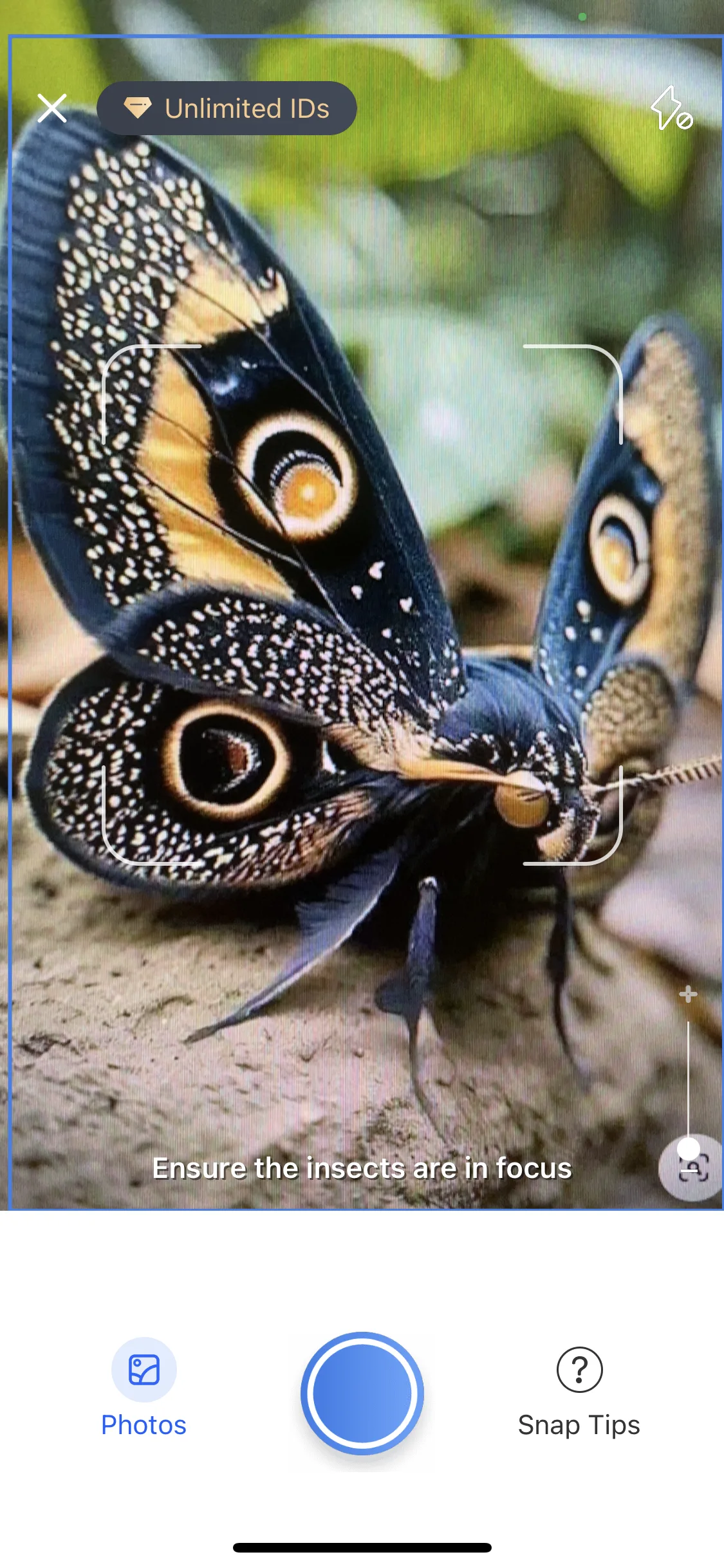 Test Image 3